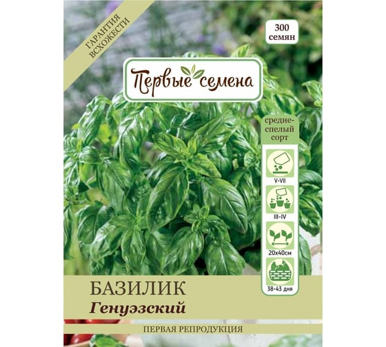 Семена Первые семена Базилик овощной Генуэзский 019600-1Семена 1