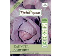 Семена Первые семена Капуста к/к Антрацит 020425-1Семена
