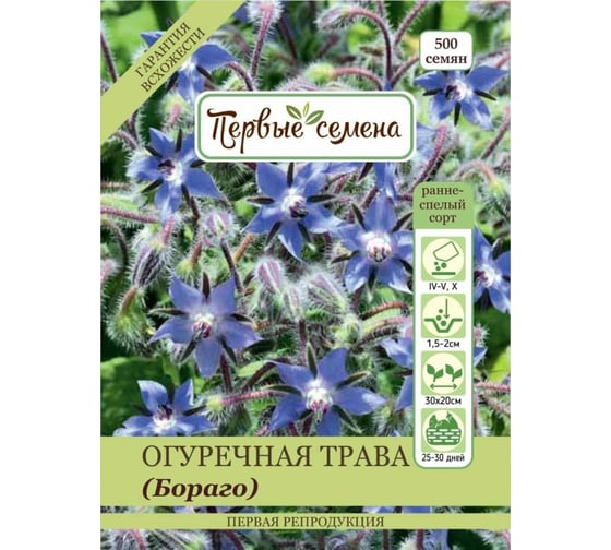 Семена Первые семена Огуречная трава Бораго 033567-1Семена 1