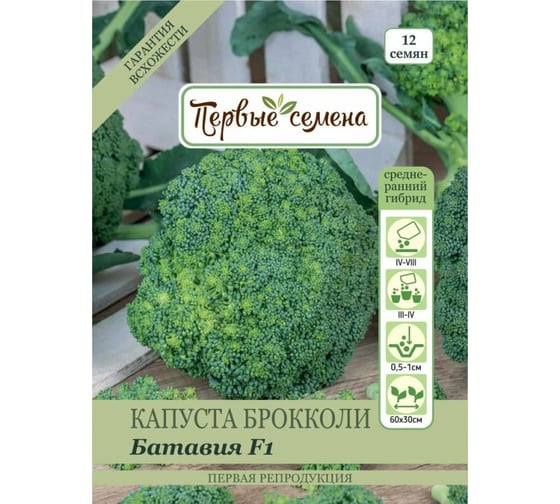 Семена Первые семена Капуста брокколи Батавия F1 034203-1Semena 1