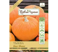 Семена Первые семена Тыква крупноплодная Биг Макс 033600-1Семена
