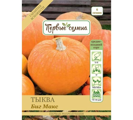 Семена Первые семена Тыква крупноплодная Биг Макс 033600-1Семена 1