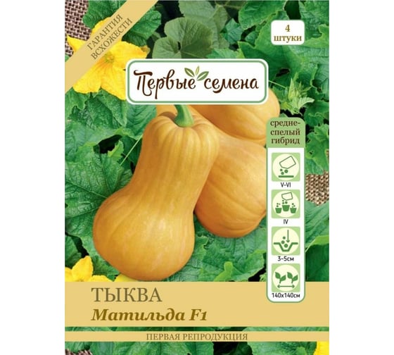 Семена Первые семена Тыква Матильда F1 034224-1Semena 1