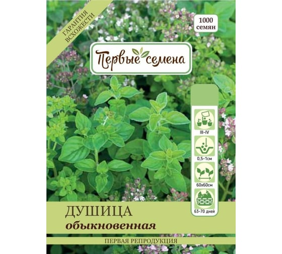 Семена Первые семена Душица обыкновенная орегано 033579-1Семена 1