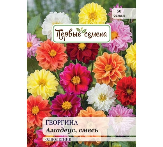 Семена Первые семена Георгина Амадеус, смесь 034165-1Семена