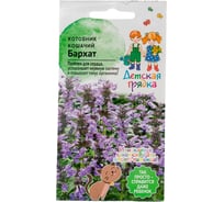 Семена Детская грядка Котовник кошачий Бархат 0.1 г 122822