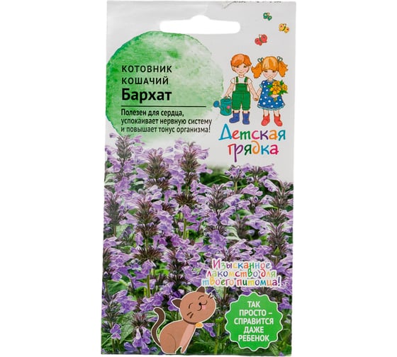 Семена Детская грядка Котовник кошачий Бархат 0.1 г 122822 1