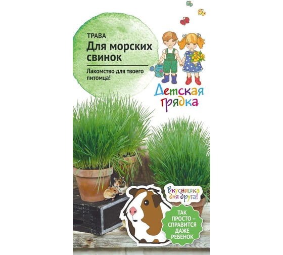 Семена Детская грядка Трава для морских свинок 10 г 121297 1