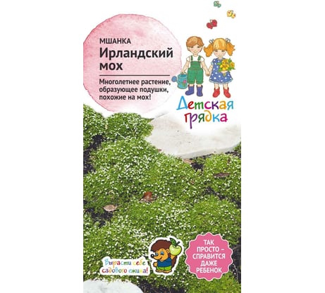 Семена Детская грядка Мшанка почвопокровная Ирландский мох 0.01 г 122823