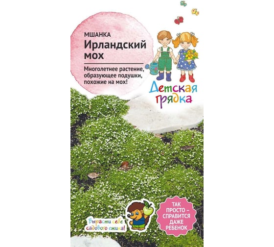 Семена Детская грядка Мшанка почвопокровная Ирландский мох 0.01 г 122823 1