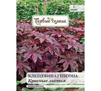 Семена Первые семена Клещевина Гибсона Красные листья 025368-1Семена