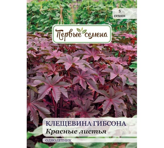 Семена Первые семена Клещевина Гибсона Красные листья 025368-1Семена 1