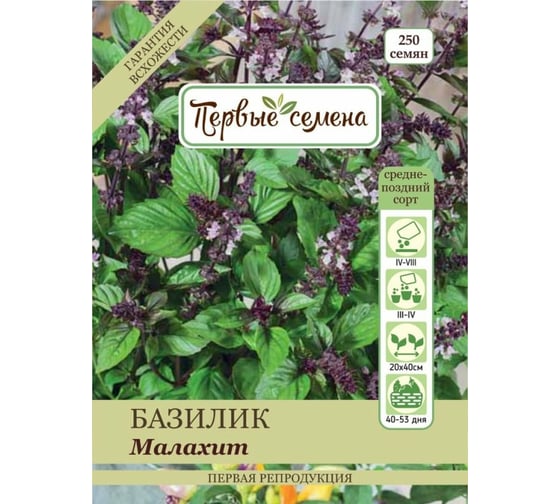 Семена Первые семена Базилик овощной Малахит 033574-1Семена 1