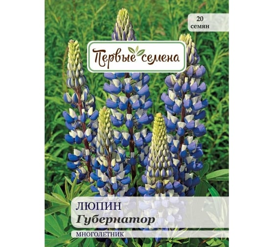 Семена Первые семена Люпин Губернатор 025384-1Семена 1