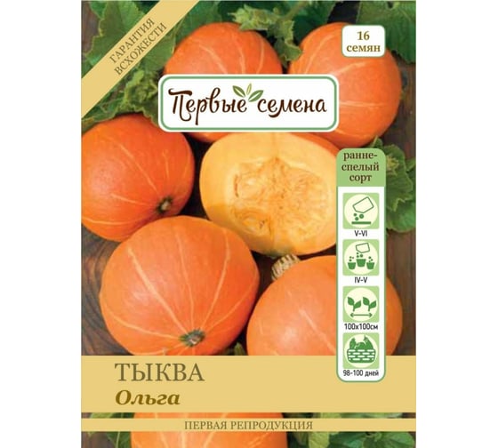 Семена Первые семена Тыква столовая Ольга 019367-1Семена 1