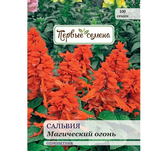 Семена Первые семена Сальвия Магический огонь 025399-1Семена 1