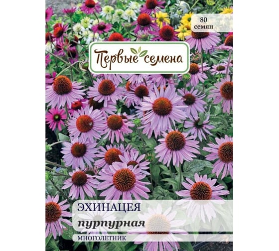 Семена Первые семена Эхинацея пурпурная 023396-1Семена 1