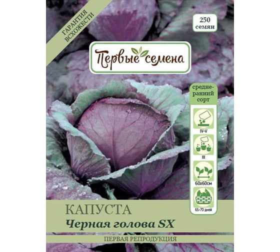 Семена Первые семена Капуста к/к Черная голова SX 020424-1Семена 1