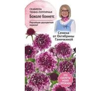 Семена ОКТЯБРИНА ГАНИЧКИНА Скабиоза Божоле боннетс 0.05 г 119679