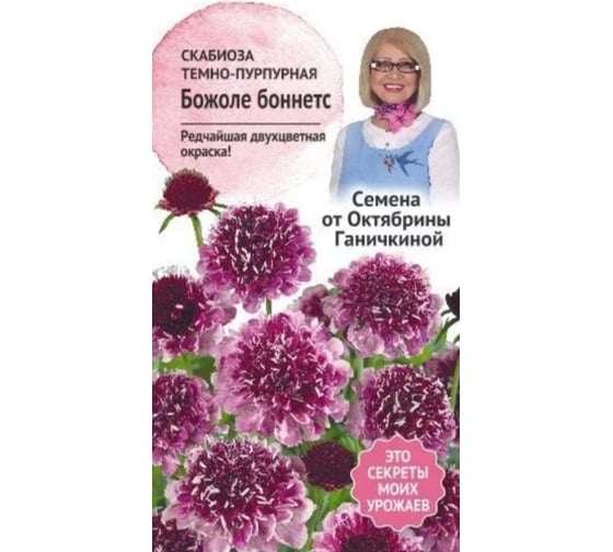 Семена ОКТЯБРИНА ГАНИЧКИНА Скабиоза Божоле боннетс 0.05 г 119679 1