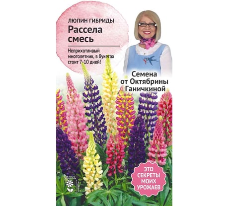 Семена ОКТЯБРИНА ГАНИЧКИНА Люпин Гибриды Расселя смесь, 0.5 г 122838