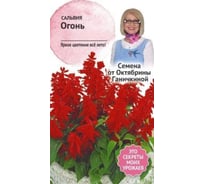 Семена ОКТЯБРИНА ГАНИЧКИНА Сальвия Огонь 0.1 г 119277
