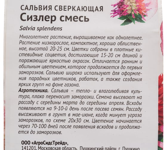Семена ОКТЯБРИНА ГАНИЧКИНА Сальвия сверкающая Сизлер смесь, 0.01 г 120130