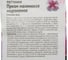 Семена ОКТЯБРИНА ГАНИЧКИНА Петуния Призм Малиновое мороженое F1 10 шт. 120123 3
