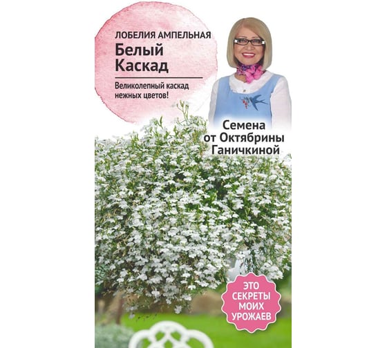 Семена ОКТЯБРИНА ГАНИЧКИНА Лобелия ампельная Белый каскад 0.1 г 119028