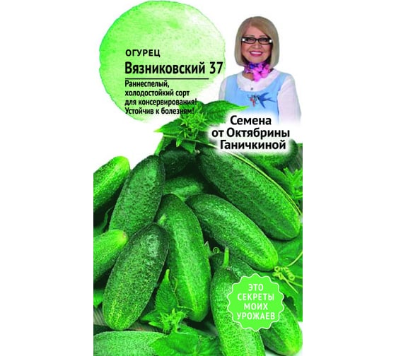 Семена ОКТЯБРИНА ГАНИЧКИНА Огурец Вязниковский 37 0.5 г 120186