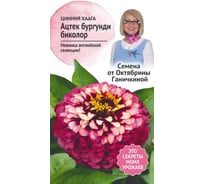 Семена ОКТЯБРИНА ГАНИЧКИНА Цинния хаага Ацтек бургунди биколор 10 шт. 119676