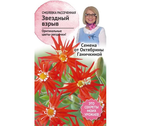 Семена ОКТЯБРИНА ГАНИЧКИНА Смолевка Звездный взрыв 0.02 г 119670 1