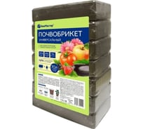 Почвобрикет Биомастер Универсальный, 70 л 2003720036005