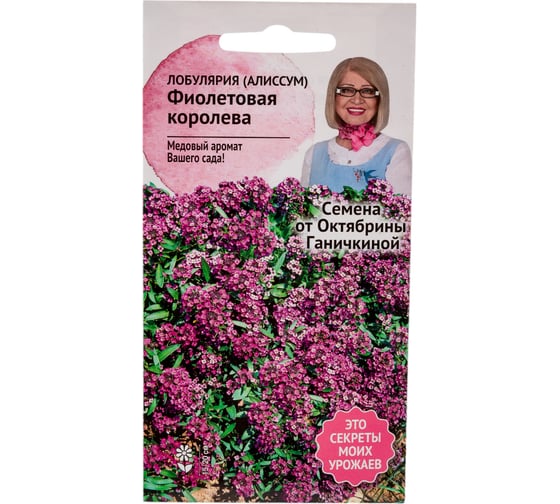 Семена ОКТЯБРИНА ГАНИЧКИНА Лобулярия (алиссум) Фиолетовая королева 0.1 г 119035 1