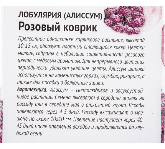Семена ОКТЯБРИНА ГАНИЧКИНА Лобулярия (алиссум) Розовый коврик 0.1 г 119034