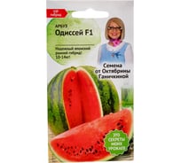 Семена ОКТЯБРИНА ГАНИЧКИНА Арбуз Одиссей 5 шт. 121236