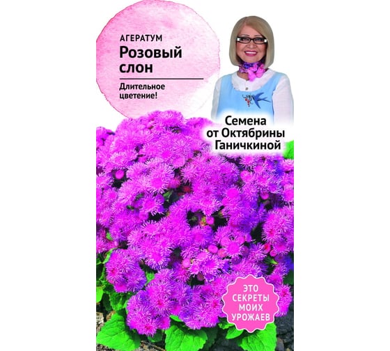 Семена ОКТЯБРИНА ГАНИЧКИНА Агератум Розовый слон 0.05 г 118829 1