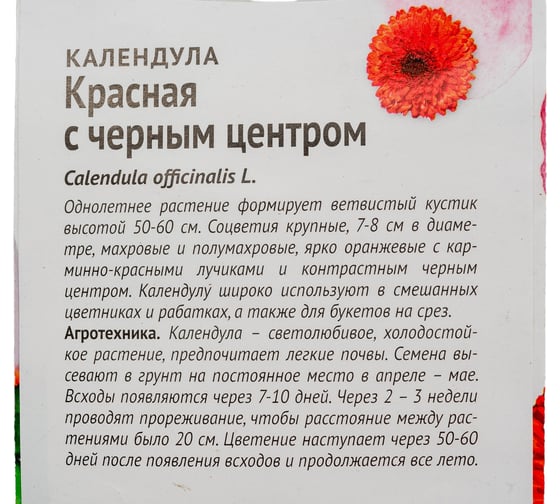 Семена ОКТЯБРИНА ГАНИЧКИНА Календула Красная с черным центром 0.3 г 119020