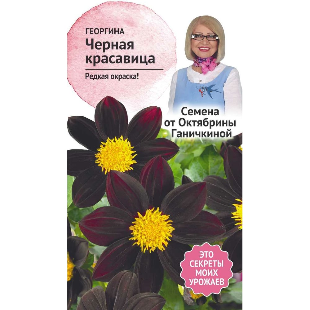 Семена ОКТЯБРИНА ГАНИЧКИНА Георгина Черная красавица 5 шт. 119666 ...