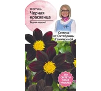 Семена ОКТЯБРИНА ГАНИЧКИНА Георгина Черная красавица 5 шт. 119666