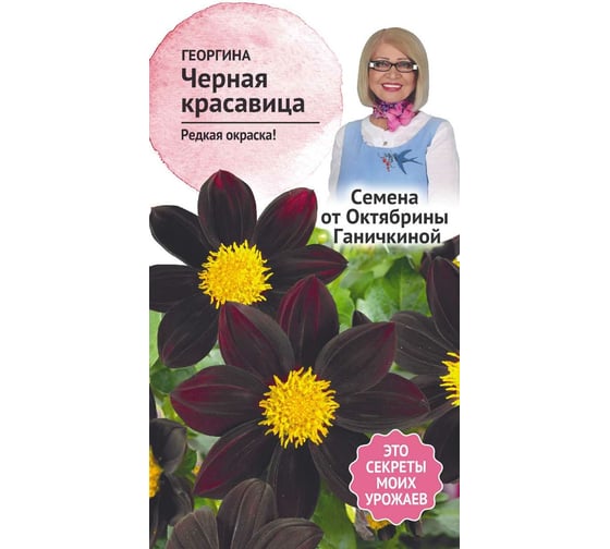 Семена ОКТЯБРИНА ГАНИЧКИНА Георгина Черная красавица 5 шт. 119666 1