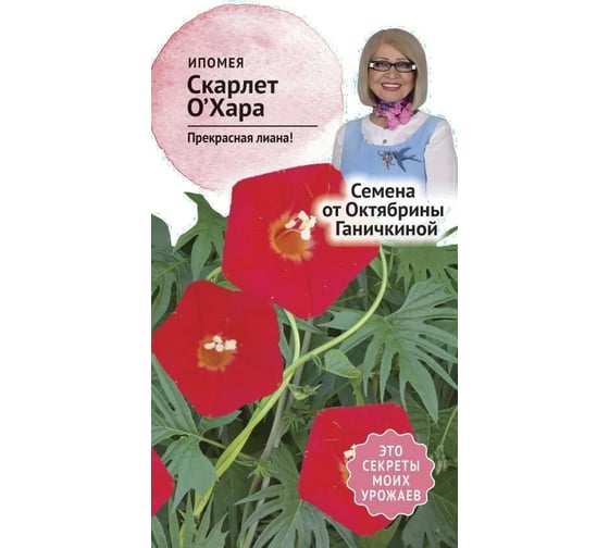 Семена ОКТЯБРИНА ГАНИЧКИНА Ипомея Скарлет о Хара 0.5 г 119333 1