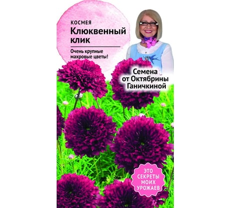 Семена ОКТЯБРИНА ГАНИЧКИНА Космея Клюквенный клик 0.1 г 119249