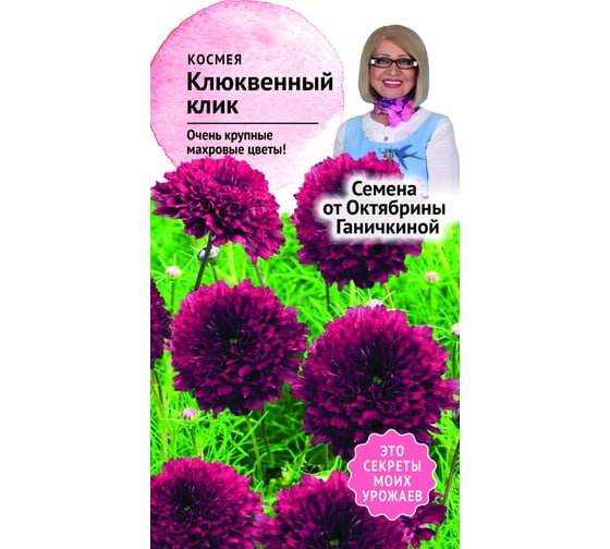 Семена ОКТЯБРИНА ГАНИЧКИНА Космея Клюквенный клик 0.1 г 119249 1