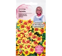 Семена ОКТЯБРИНА ГАНИЧКИНА Бархатцы Паскаль 0.15 г 118850