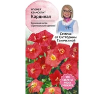Семена ОКТЯБРИНА ГАНИЧКИНА Ипомея Кардинал 0.5 г 119331