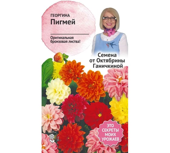 Семена ОКТЯБРИНА ГАНИЧКИНА Георгина Пигмей смесь, 0.1 г 119013 1