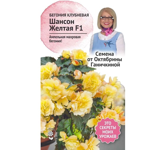 Семена ОКТЯБРИНА ГАНИЧКИНА Бегония клубневая Шансон Желтая F1 6 шт. 118855 1