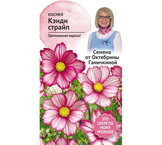 Семена ОКТЯБРИНА ГАНИЧКИНА Космея Кэнди страйп 0.3 г 119342 1