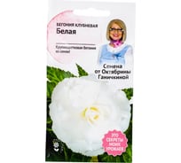 Семена ОКТЯБРИНА ГАНИЧКИНА Бегония клубневая Белая 6 шт. 118852